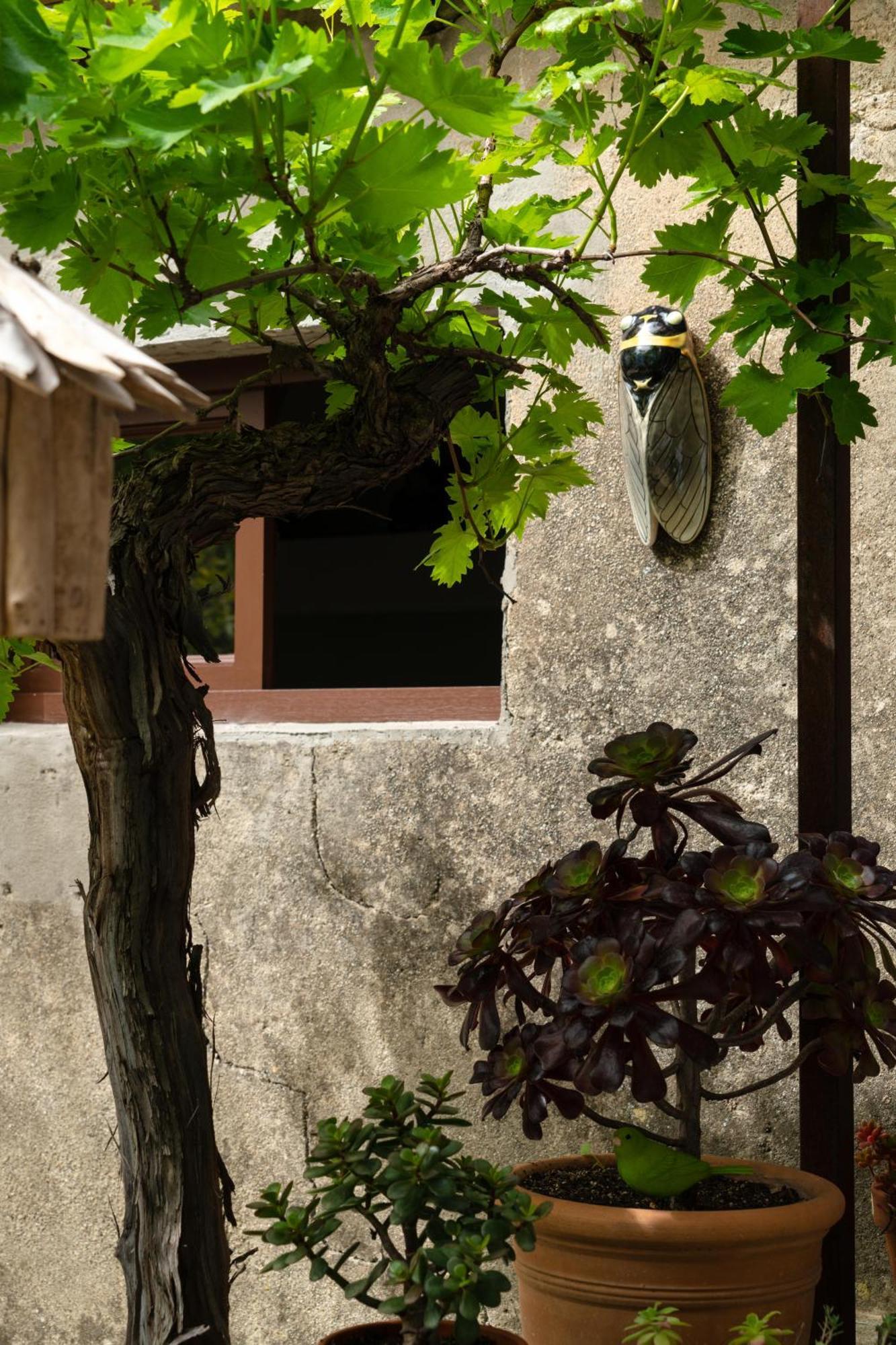 La Suite - Maison M Fabre Saint-Rémy-de-Provence Exterior foto